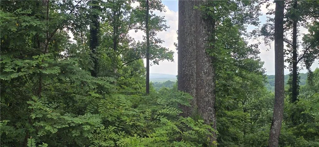 View from lot