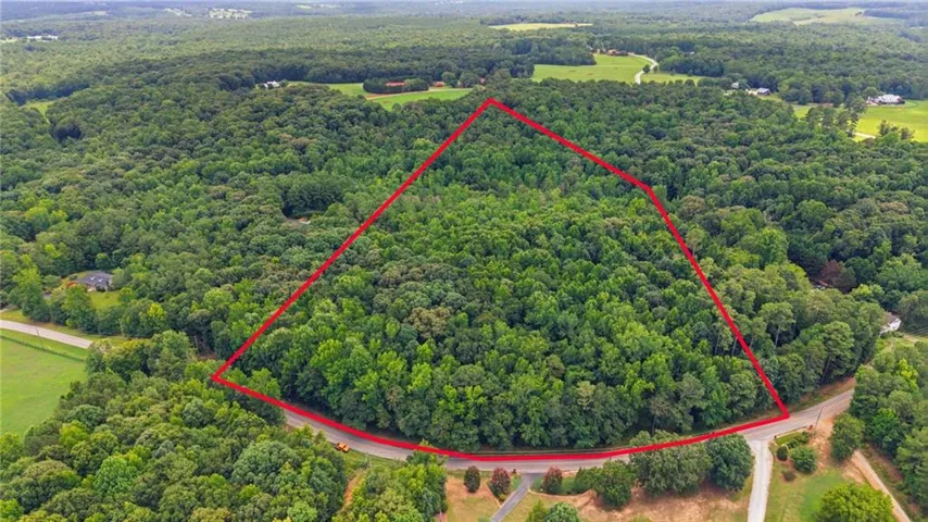 Expansive wooded lot featuring mature trees and established road frontage
