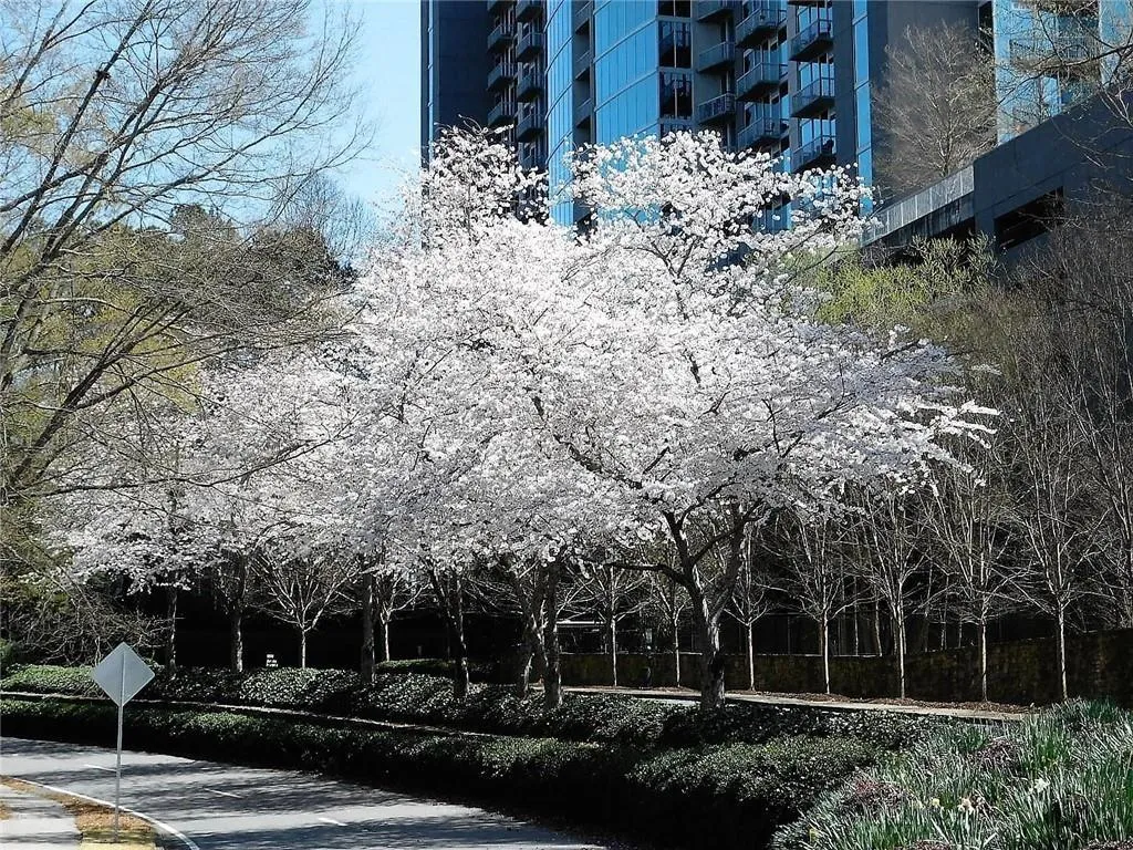 3300 Windy Ridge Parkway Se Unit 1307, Atlanta, Georgia 30339, 1 Bedroom Bedrooms, ,1 BathroomBathrooms,Residential,For Sale,3300 Windy Ridge Parkway Se Unit 1307,7625798