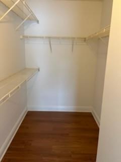 Spacious closet featuring dark hardwood / wood-style flooring