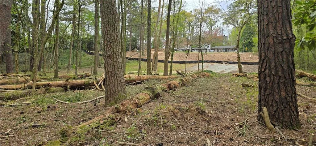 Cleared site