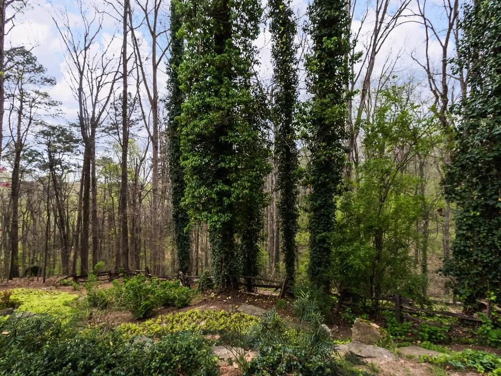 4890 Northside Drive, Atlanta, Georgia 30327, 3 Bedrooms Bedrooms, ,3 BathroomsBathrooms,Residential,Sold,4890 Northside Drive,5992511