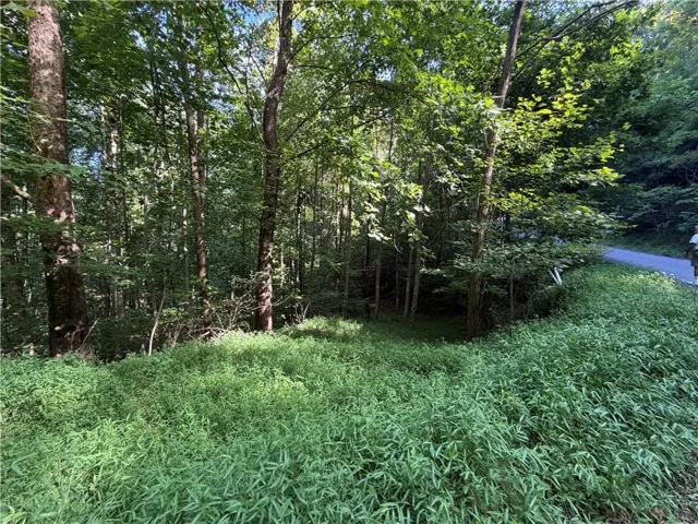 4 Mill Ridge Road, Hiawassee, Georgia 30546