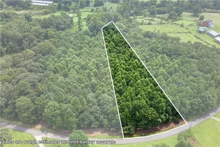 0 Henry Turner Trail, Ball Ground, Georgia 30107