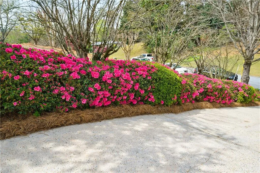 475 Forest Valley Road, Atlanta, Georgia 30342, 6 Bedrooms Bedrooms, ,3 BathroomsBathrooms,Residential,Sold,475 Forest Valley Road,7026877