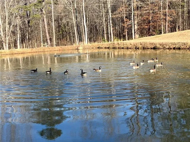 6225 Collins Road Nw, Acworth, Georgia 30101