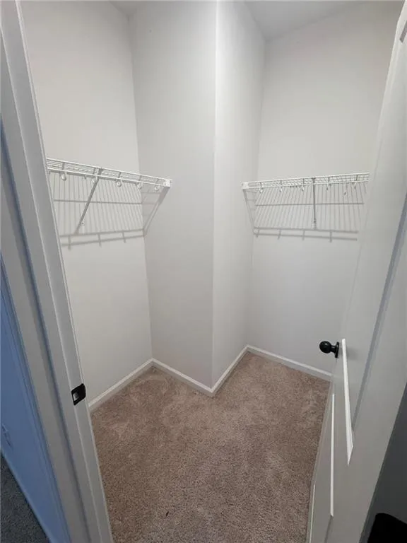Spacious closet featuring carpet floors