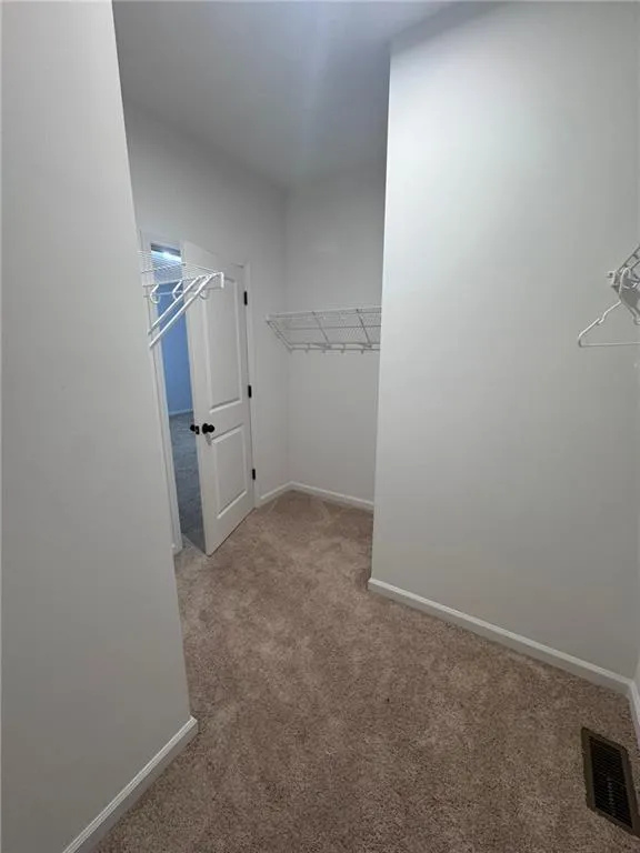 Walk in closet with light colored carpet