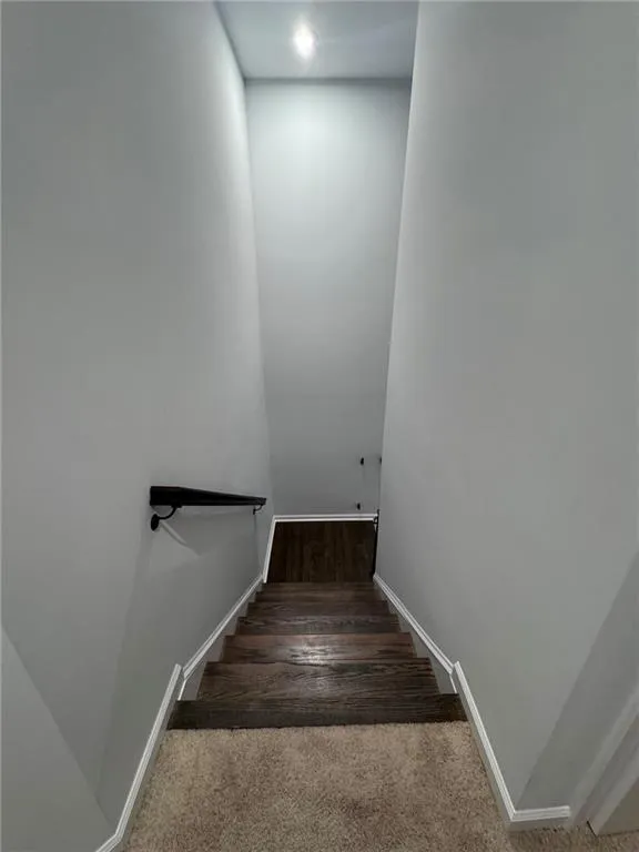 Staircase featuring carpet flooring