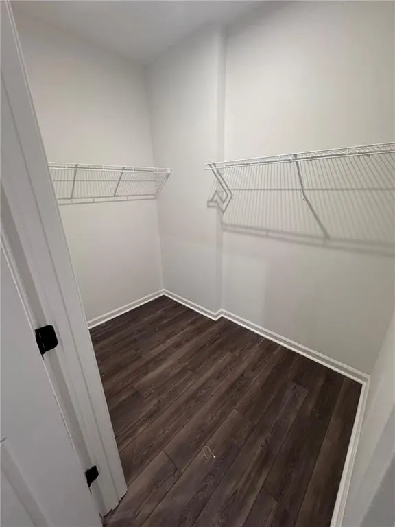 Walk in closet featuring dark wood-style floors