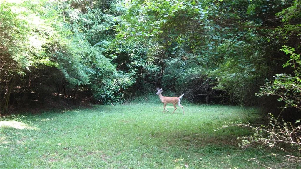 5655 Long Island Drive Nw, Sandy Springs, Georgia 30327, 6 Bedrooms Bedrooms, ,4 BathroomsBathrooms,Land,Sold,5655 Long Island Drive Nw,7066921