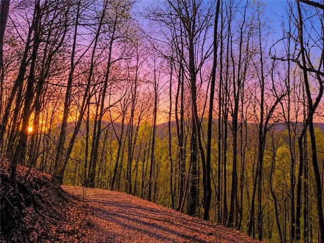 29 Ac Hidden Valley Drive, Ellijay, Georgia 30536