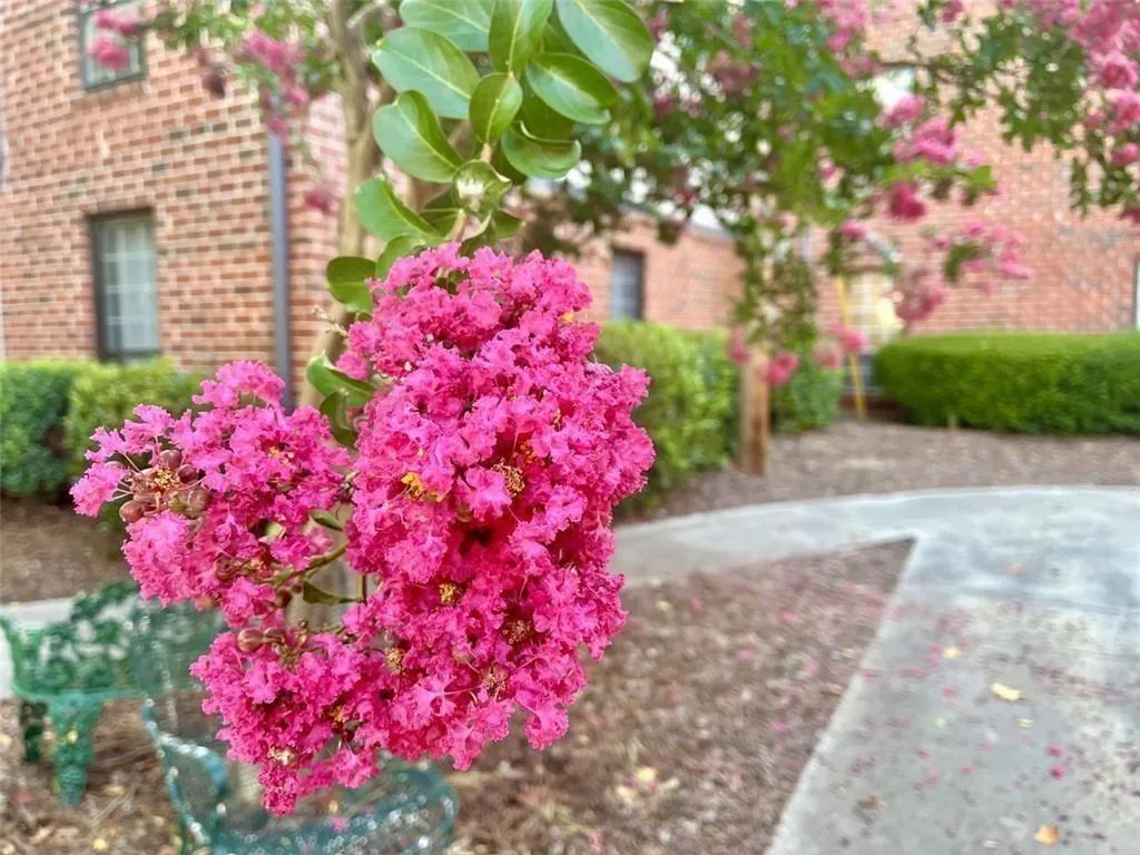 6851 Roswell Road Unit H7, Atlanta, Georgia 30328, 2 Bedrooms Bedrooms, ,2 BathroomsBathrooms,Residential,Sold,6851 Roswell Road Unit H7,7390897