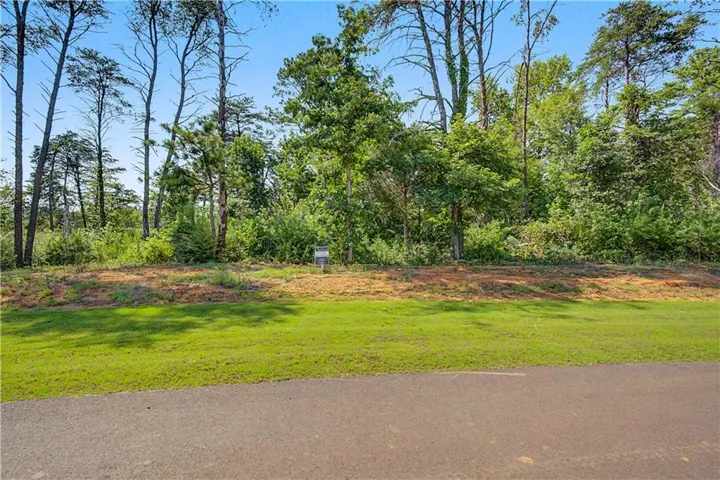 111 Palisade Drive, Rydal, Georgia 30171