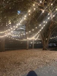 Dog park at night.