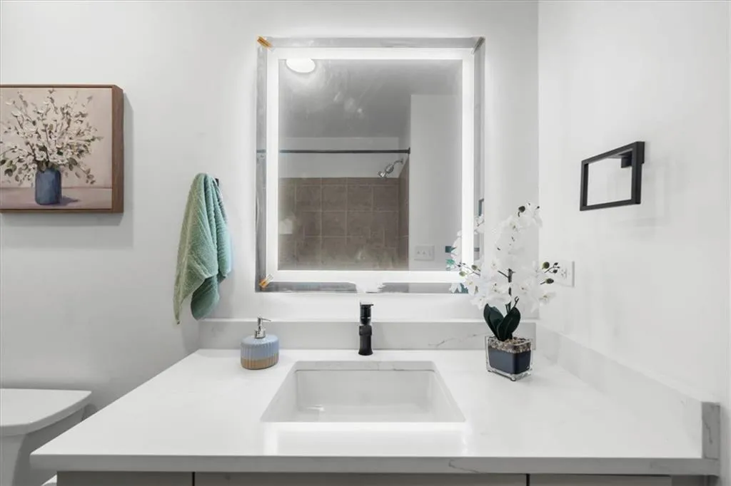 New Vanity, New fixtures & Smart Mirror