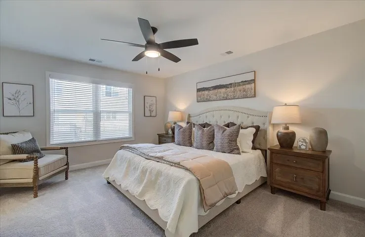 Plush carpeting, a large window, and a ceiling fan with integrated lighting