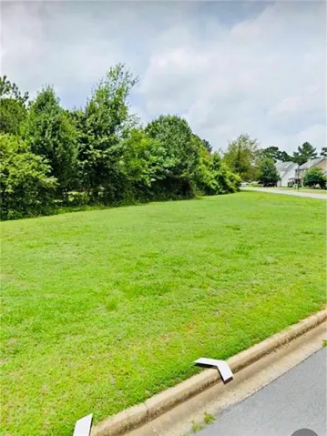 View of grassy yard