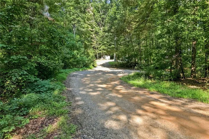 Gravel driveway with a slight incline, surrounded by mature trees and lush green foliage