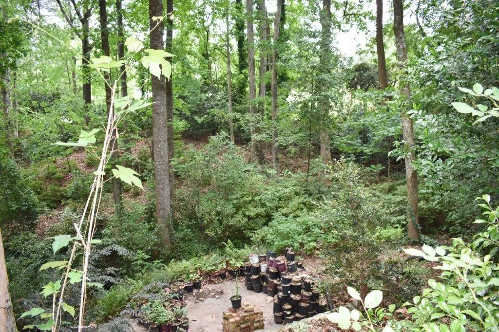 100 Angus Trail, Sandy Springs, Georgia 30328, 3 Bedrooms Bedrooms, ,2 BathroomsBathrooms,Residential,Sold,100 Angus Trail,6721503