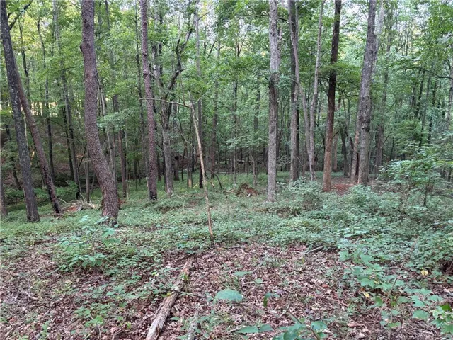Wooded lot featuring mature trees and natural ground cover
