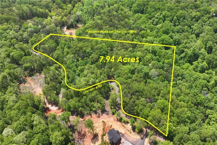 Drone / aerial view with a forest view