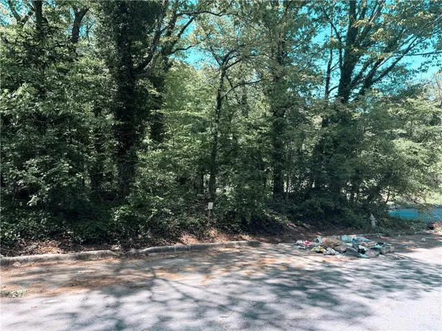 0 Willow Trail Sw, Atlanta, Georgia 30311