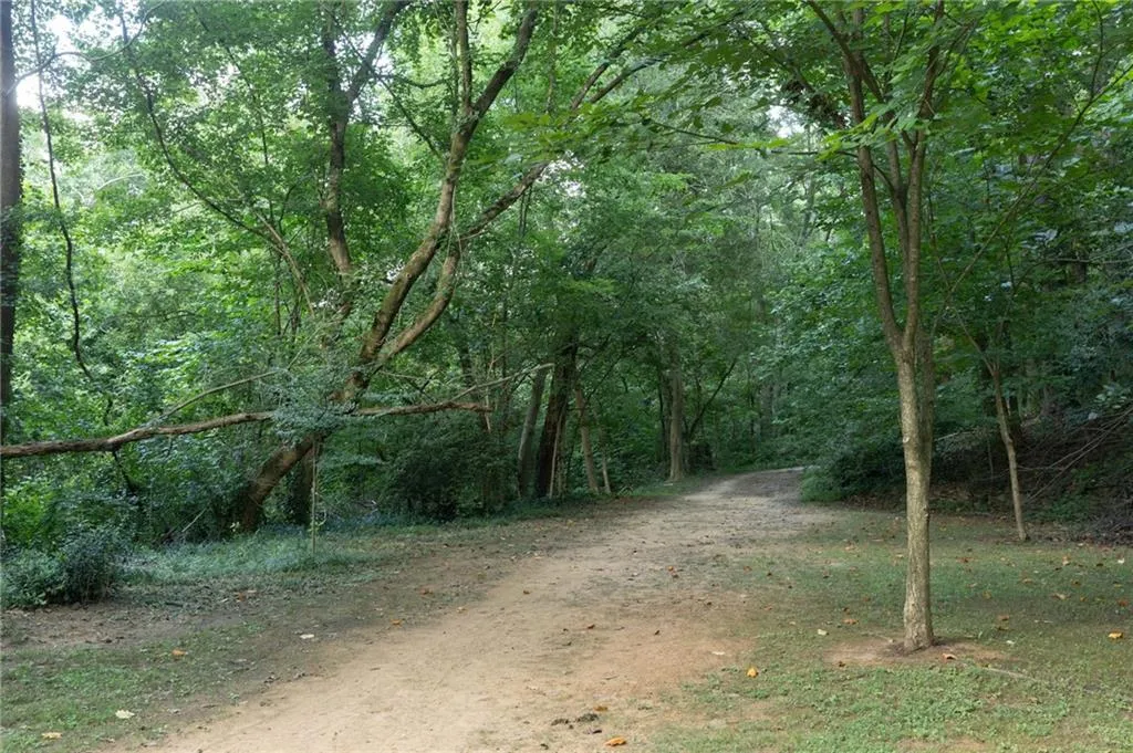 Your morning walk through the nature preserve just across the street - the best place to head off to with your pup!