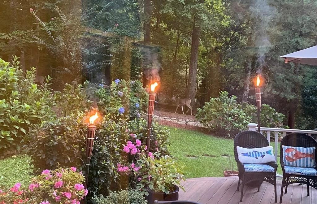 5065 Magnolia Bluff Drive, Sandy Springs, Georgia 30350, 4 Bedrooms Bedrooms, ,3 BathroomsBathrooms,Residential,Sold,5065 Magnolia Bluff Drive,6780916