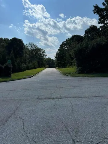 0 Cape Charles Avenue, Hampton, Georgia 30228