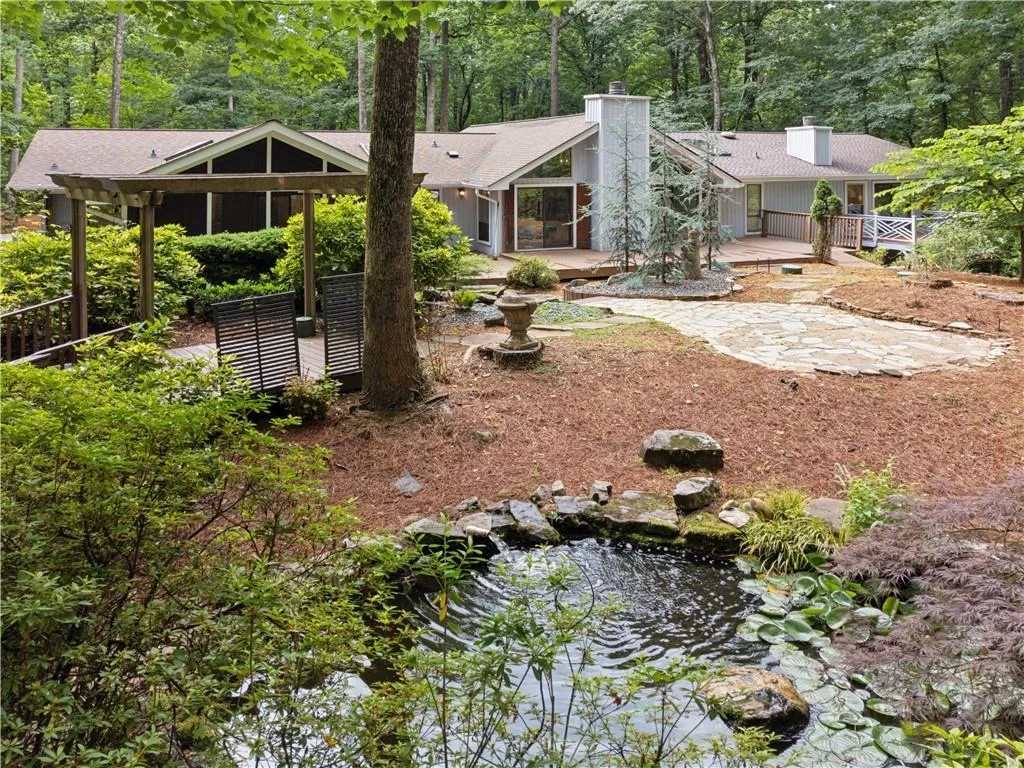 View of backyard