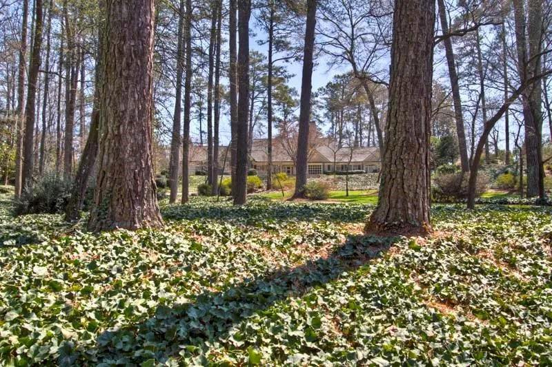 857 Fairfield Road, Atlanta, Georgia 30327, 5 Bedrooms Bedrooms, ,7 BathroomsBathrooms,Residential,Sold,857 Fairfield Road,5693148