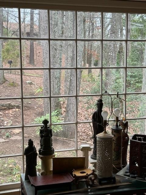 View out of Living Room window