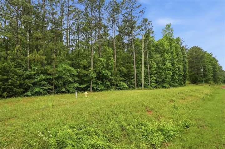 2919 Highway, Covington, Georgia 30016
