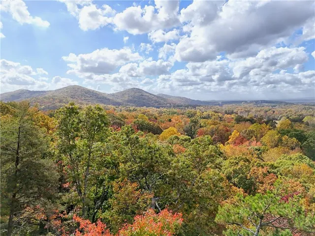 View of mountain feature featuring a view of trees
