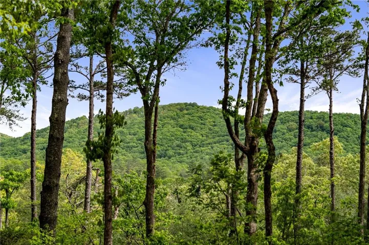 245 Old Anderson Creek, Ellijay, Georgia 30536