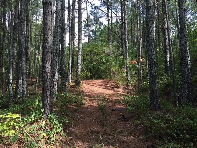 100 Valley View Drive Nw, Cartersville, Georgia 30121