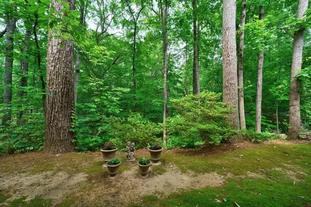 5636 River Oaks Place, Atlanta, Georgia 30327, 3 Bedrooms Bedrooms, ,2 BathroomsBathrooms,Residential,Sold,5636 River Oaks Place,7215892