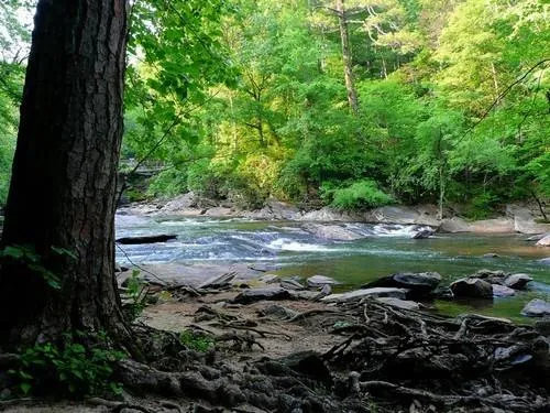 8873 Carroll Manor Drive, Atlanta, Georgia 30350, 3 Bedrooms Bedrooms, ,2 BathroomsBathrooms,Residential,Sold,8873 Carroll Manor Drive,6644236