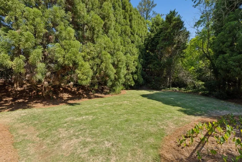 Backyard