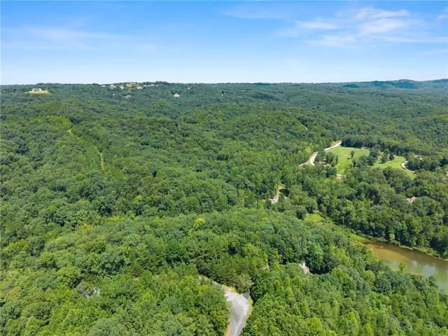 Aerial perspective showcasing expansive wooded acreage with mature hardwood forest coverage, meandering waterways traversing the property, and cleared pastoral land suitable for development or recreational use