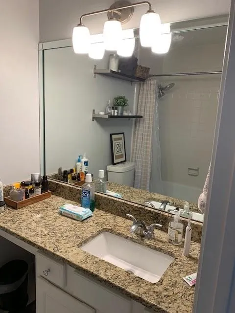 251 Peachtree Hollow Ct, Sandy Springs, Georgia 30328, 2 Bedrooms Bedrooms, ,2 BathroomsBathrooms,Residential,Sold,251 Peachtree Hollow Ct,6776429