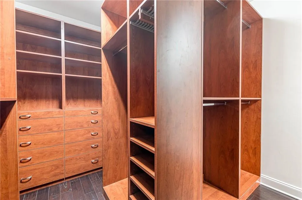 Walk in closet with dark hardwood / wood-style flooring