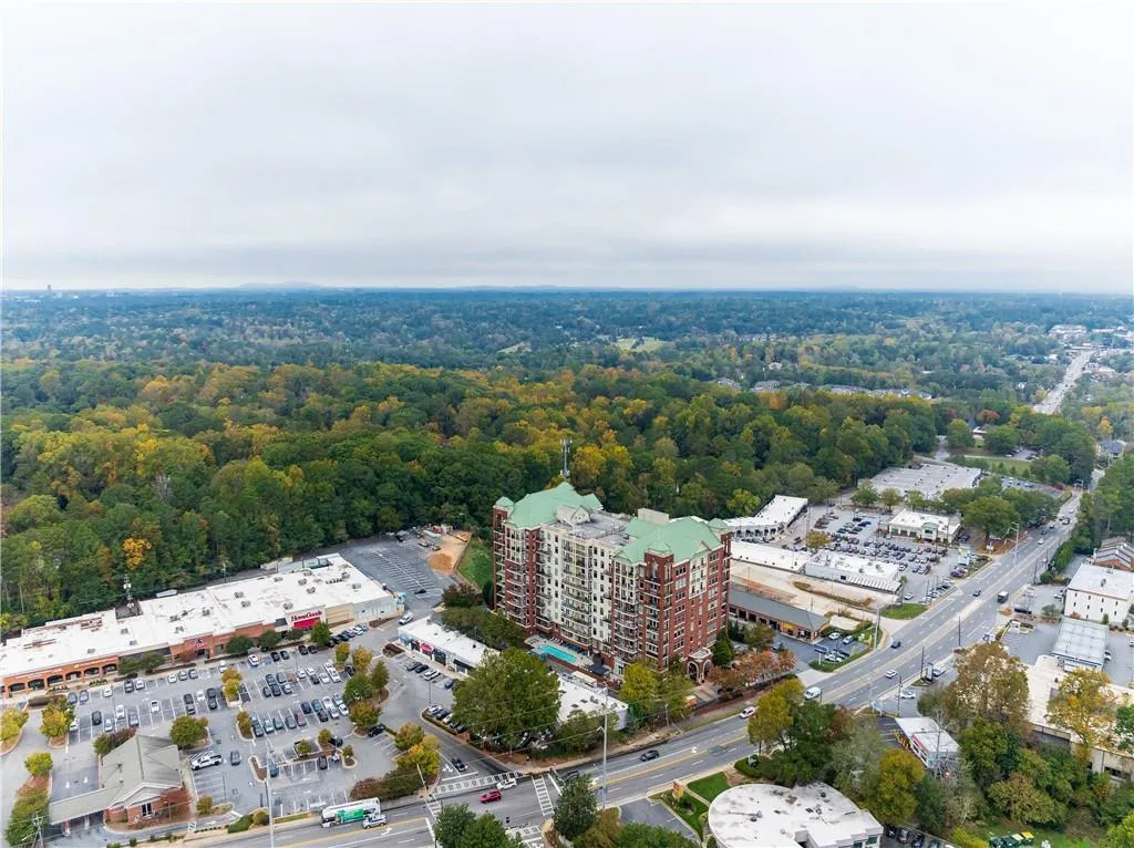 Bird's eye view with a forest view