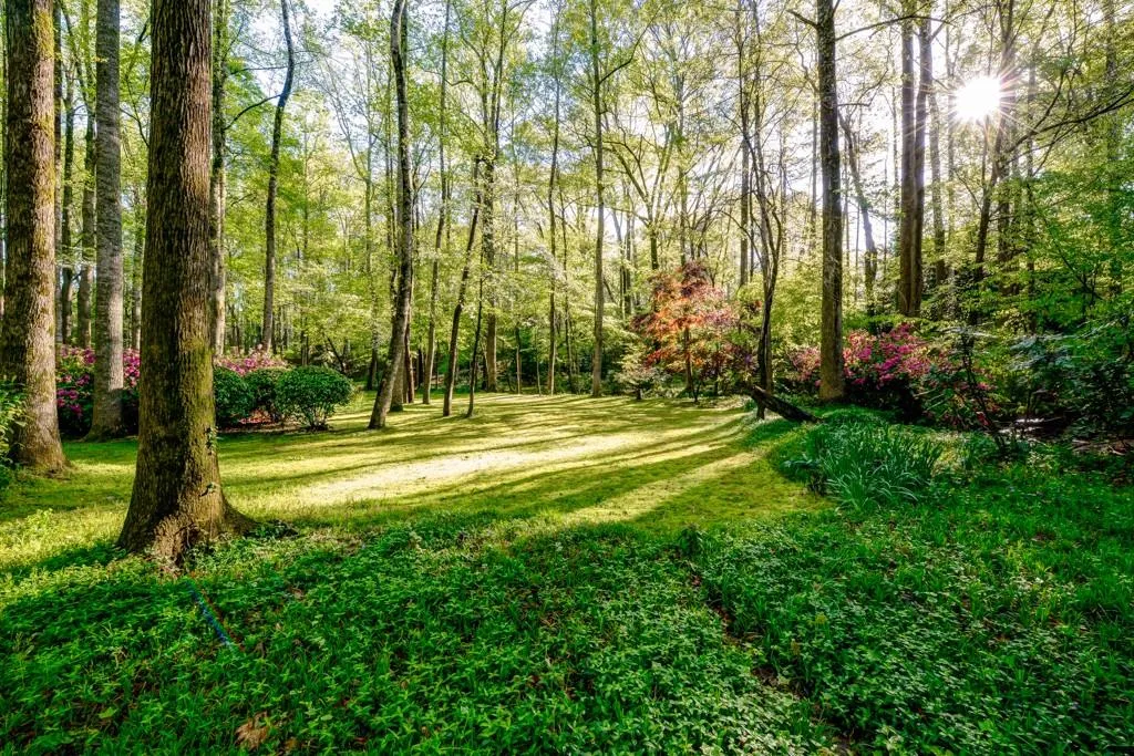 300 Spalding Hills Court, Atlanta, Georgia 30350, 4 Bedrooms Bedrooms, ,3 BathroomsBathrooms,Residential,Sold,300 Spalding Hills Court,5765740