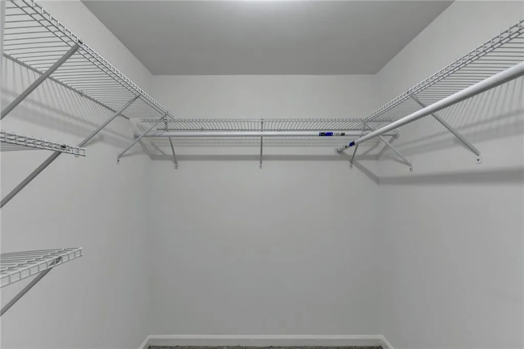 Walk in closet featuring carpet