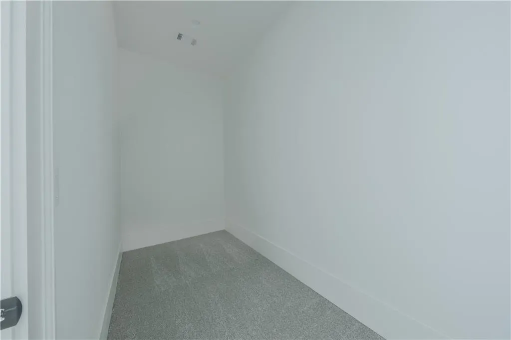Spacious closet with carpet flooring