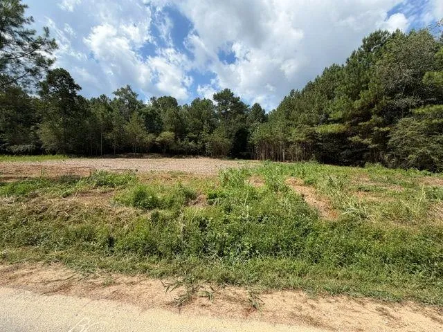 84 Popham Road Tract 2 & 3, Taylorsville, Georgia 30178
