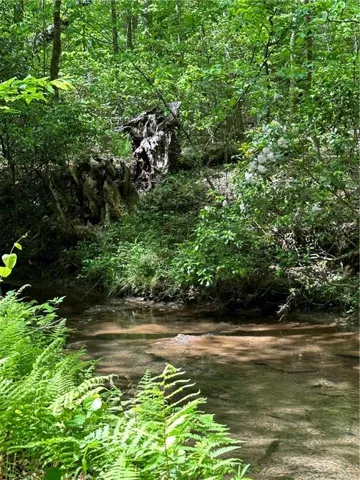 Flowing creek as it meanders through out this 94 acres among the forest.


Creek as it flows and meanders thru-out this 94.91 acres in the forest