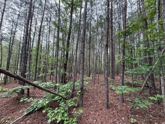 0 Natures Walk Drive, Rome, Georgia 30165